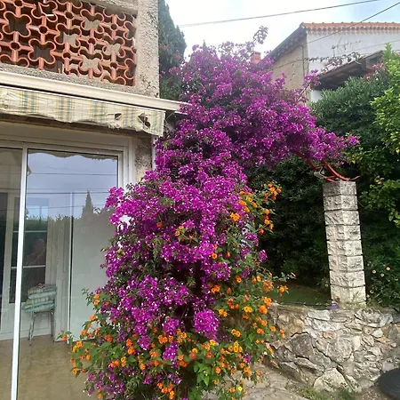 2 Ch Et 1 Traversante Avec Terrasse Et Jardin Proche Apartment *
